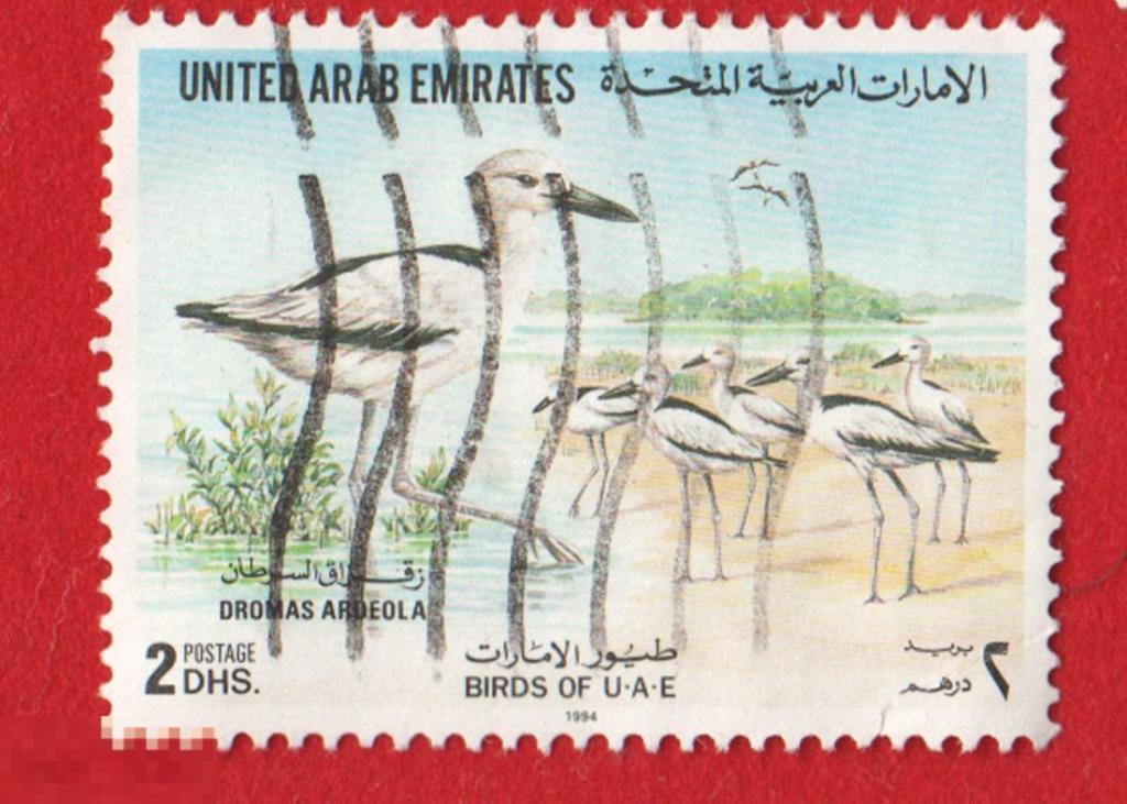 Марка ОАЭ 1994 год. Рачья ржанка — птица из монотипического семейства Dromadidae Редкая марка!