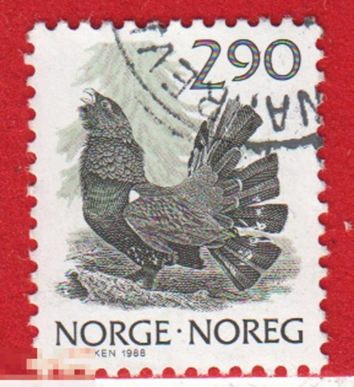 Марка Норвегия 1988 год. Куропатка. Фазан. Охота на птиц. Цесарка. Редкая марка.