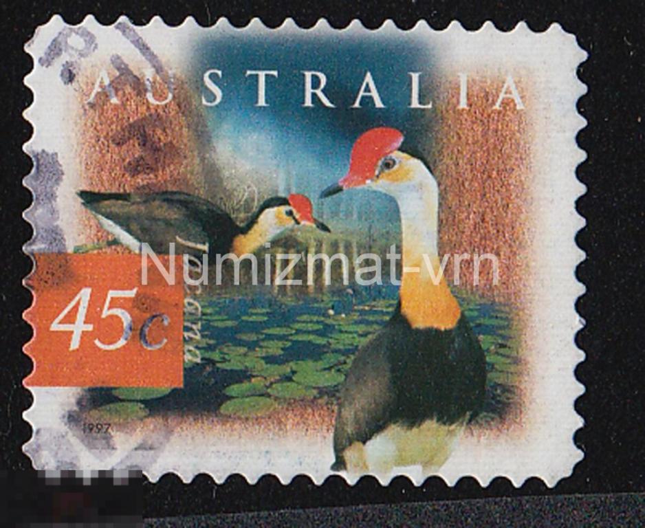 Марка Австралия 1997 г. Серёжчатая якана. Птицы МИРА. Редкие птицы. Фауна. Заповедник. 2