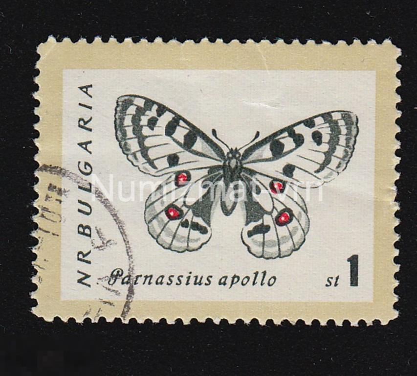 Марка Болгария. 1974 г. Бабочка. Бабочки. Бабочки мира. Редкие бабочки. Исчезающие бабочки