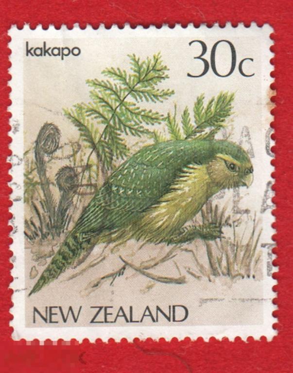 Марка Новая Зеландия 1989 год. Какапо, нелетающий совиный попугай. символы Новой Зеландии.