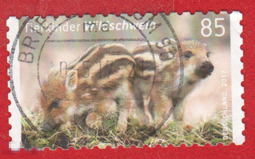 Марка Германия 2017 год. Млекопитающие. Дети животных. Кабанята. Кабан. Кабаны. Свиньи. Редкая марка