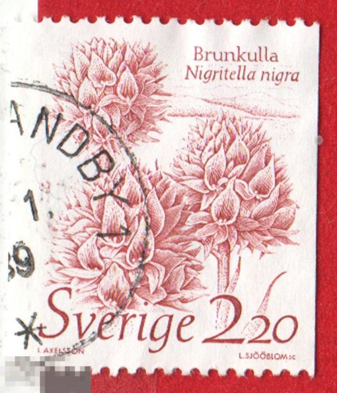 Марка Швеция 1989 год Gymnadenia nigra  Нигрителла чёрная Орхидные. Орхидеи.Цветы