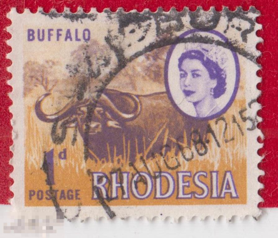 Марка Родезия 1968 год. Буйвол Корова. Бык. Фауна мира. Африканские животные. Млекопитающие