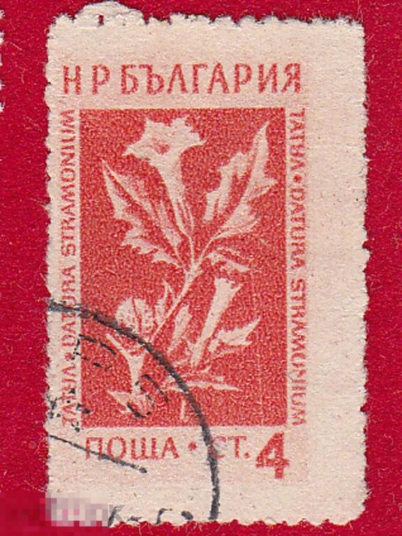 Марка Болгария 1956 год. Дурман обыкновенный  вид травянистых растений рода Дурман Цветы