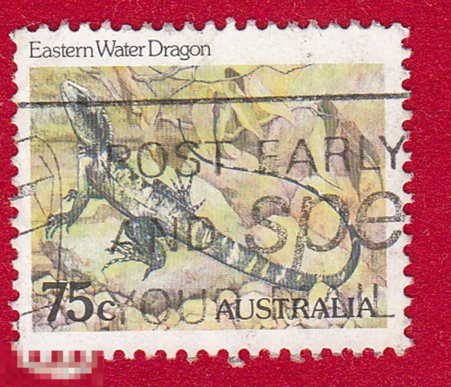 Марка Австралия 1987 год. Водяная ящерица, или водяной легуан — вид ящериц семейства агамовых.