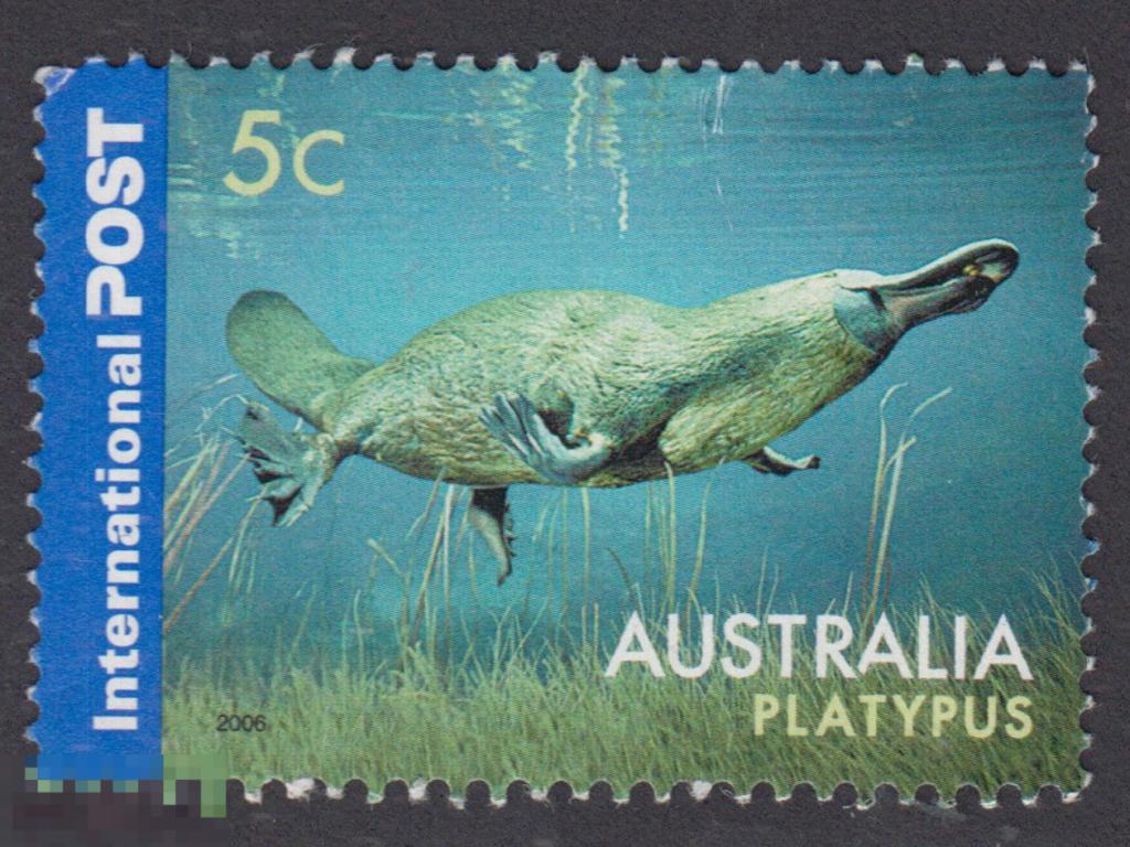 Марка Канада 2006 год. Утконос Ornithorhynchus anatinus водоплавающее млекопитающее однопроходные