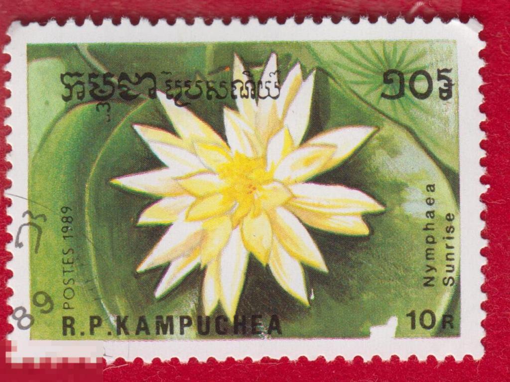 Марка Кампучия 1989 год. Нимфея Кувшинка Санрайз Nymphaea sunrise Водное растение.