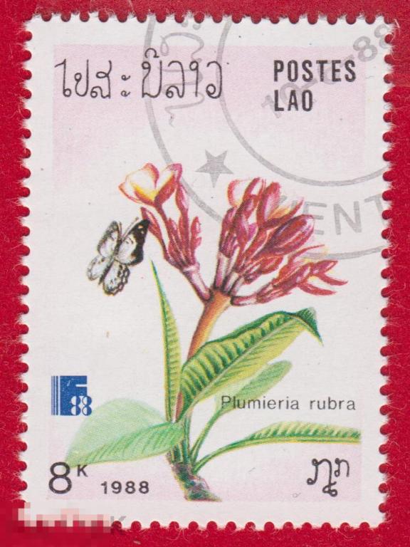 Марка Лаос 1988 год. Плюмерия красная дерево, вид рода Плюмерия семейства Кутровые. Цветы