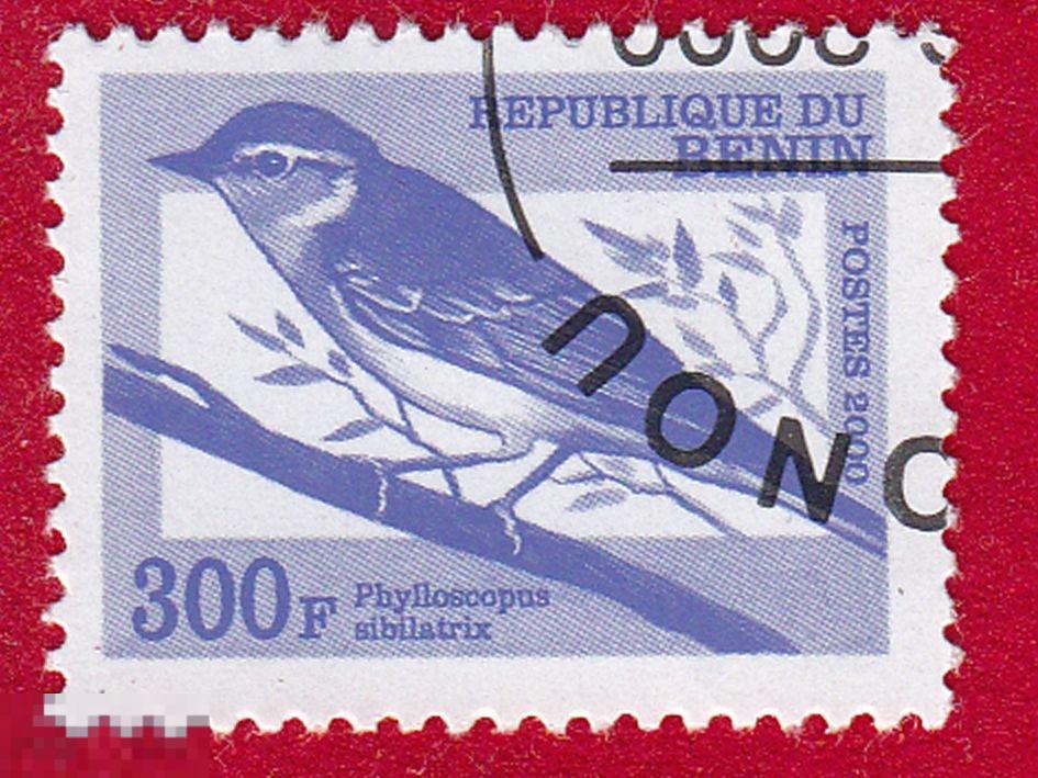 Марка Бенин 2000 год. Пеночка-трещотка Певчая птица из семейства славковых.  Птицы