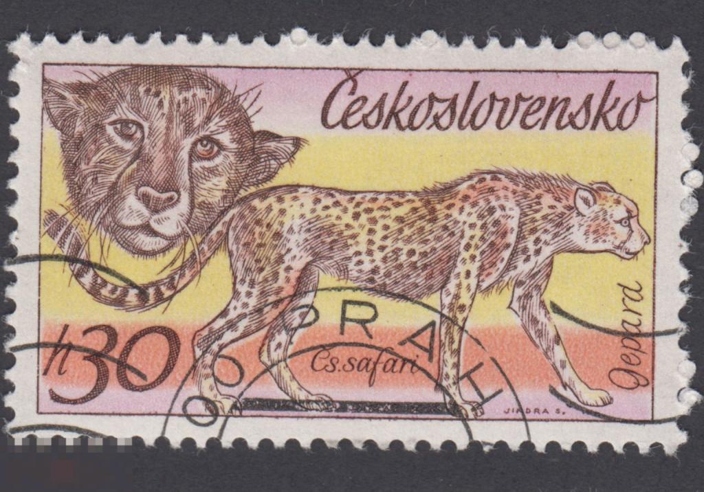 Марка Чехословакия 1976 год. Гепард — хищное млекопитающее семейства кошачьих Тигры и львы