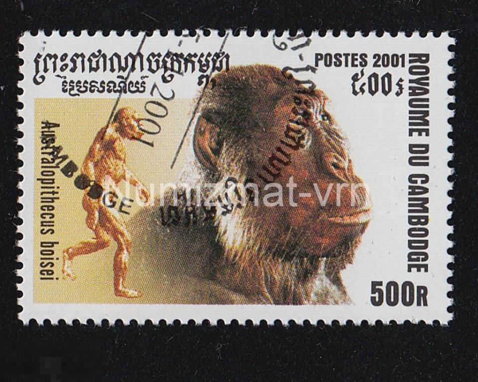 Марка Камбоджа 2001 г. Астралопитеки. Эволюция человека. Обезьяны. Редкие животные. Млекопитающие.