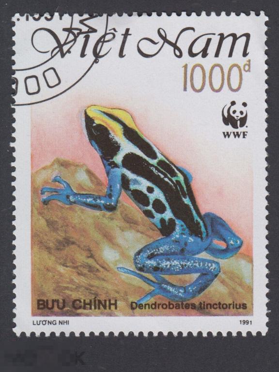 Марка Вьетнам 1991 год. Пятнистый древолаз, древолаз-красильщик, лягушка-красильщик Редкая марка!
