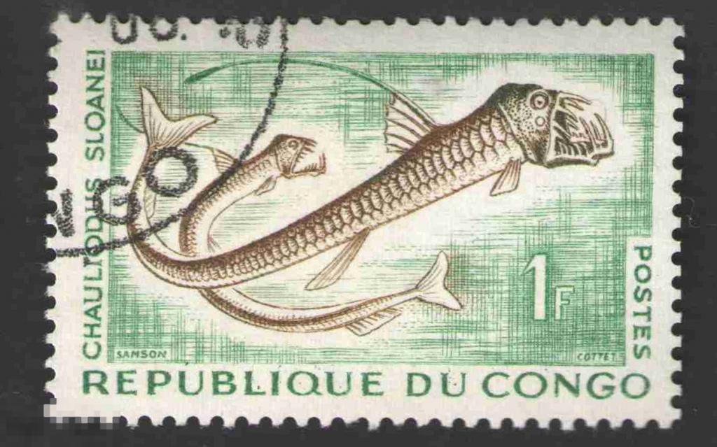 Марка Конго 1961 год. Рыба-гадюка Слоуна Chauliodus sloani хищная мезопелагическая рыба-дракон