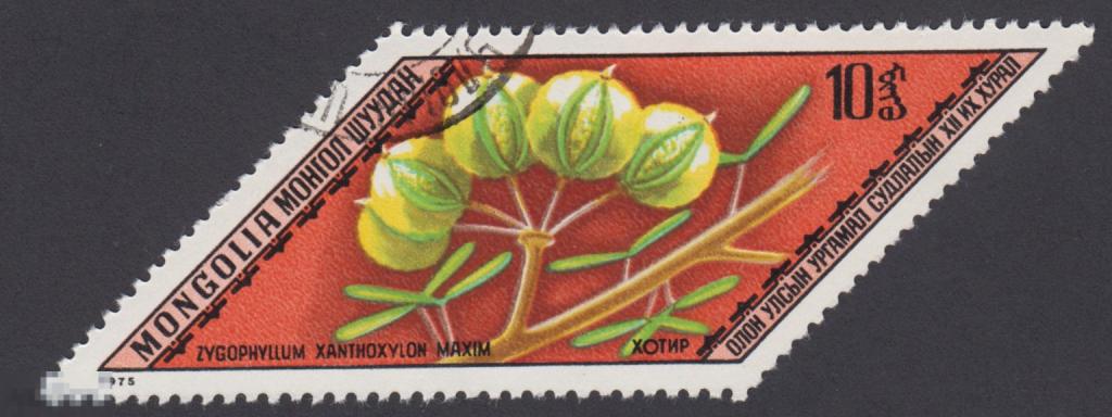 Марка Монголия 1975 год. Зигофиллум Парнолистник обыкновенный Парнолистник желтодревесный Цветы