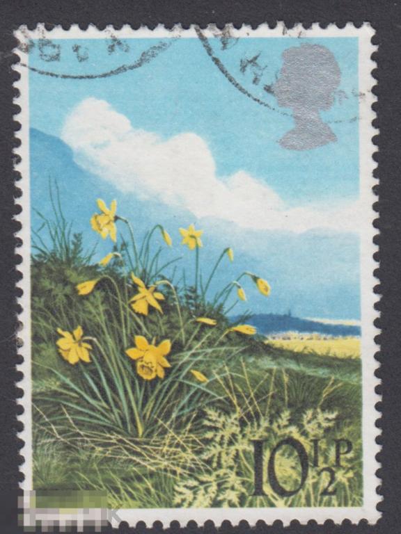 Марка Великобритания 1979 год. Нарцисс Narcissus род однодольных растений из семейства амариллисовые