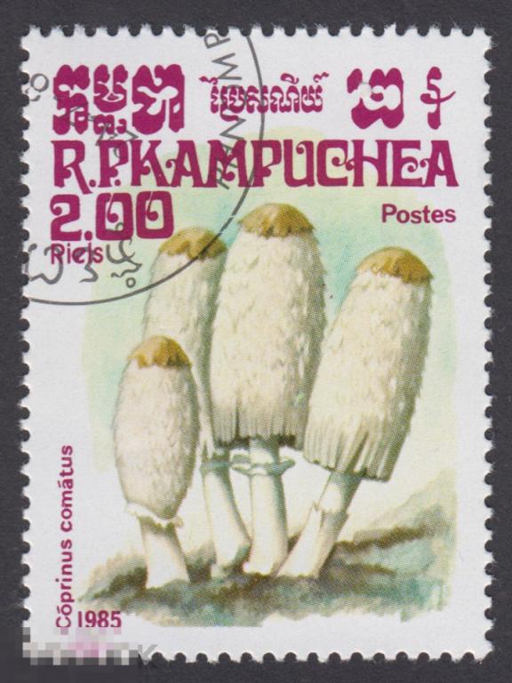 Марка Камбоджа 1985 год. Навозник белый — гриб рода Навозник семейства Навозниковых.  Грибы