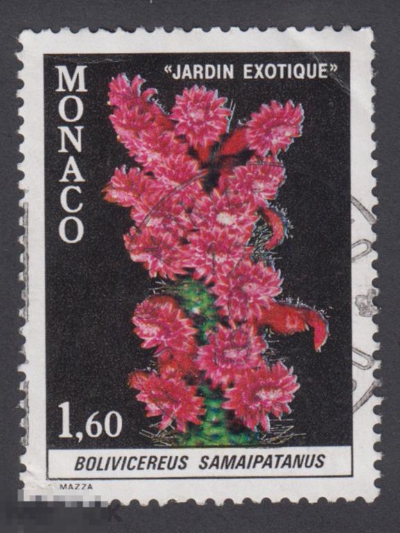 Марка Монако 1981 г. Клейстокактус самайпатанский вид цветковых растений семейства Cactaceae кактус