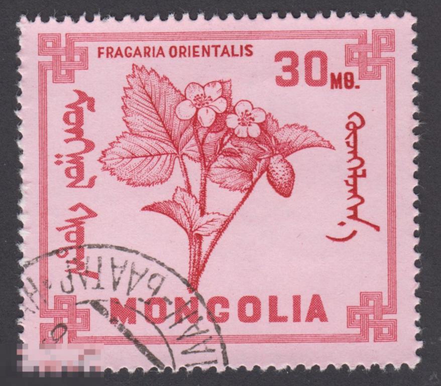 Марка Монголия 1968 год. Земляника восточная Fragaria orientalis многолетнее травянистое растение