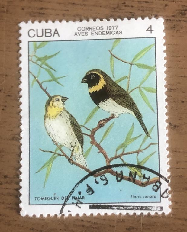 Куба 1977 Кубинский грассквит (Tiaris canora)