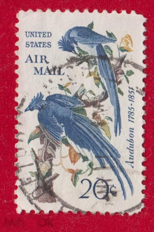 Марка США 1975 год. Птица, авиапочта США Джон Джеймс Одюбон Американский учёный