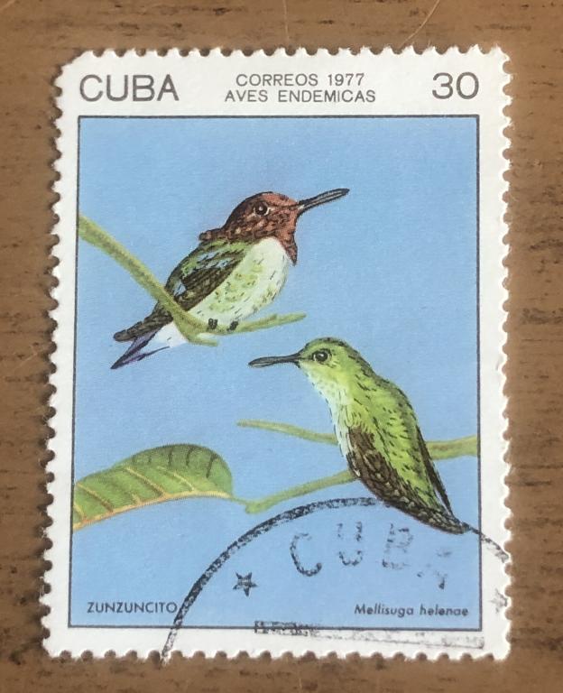 Куба 1977 Пчелиная колибри (Mellisuga helenae)