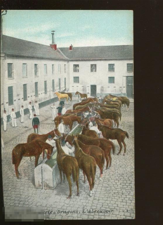 армия кавалерия драгуны, водопой коней