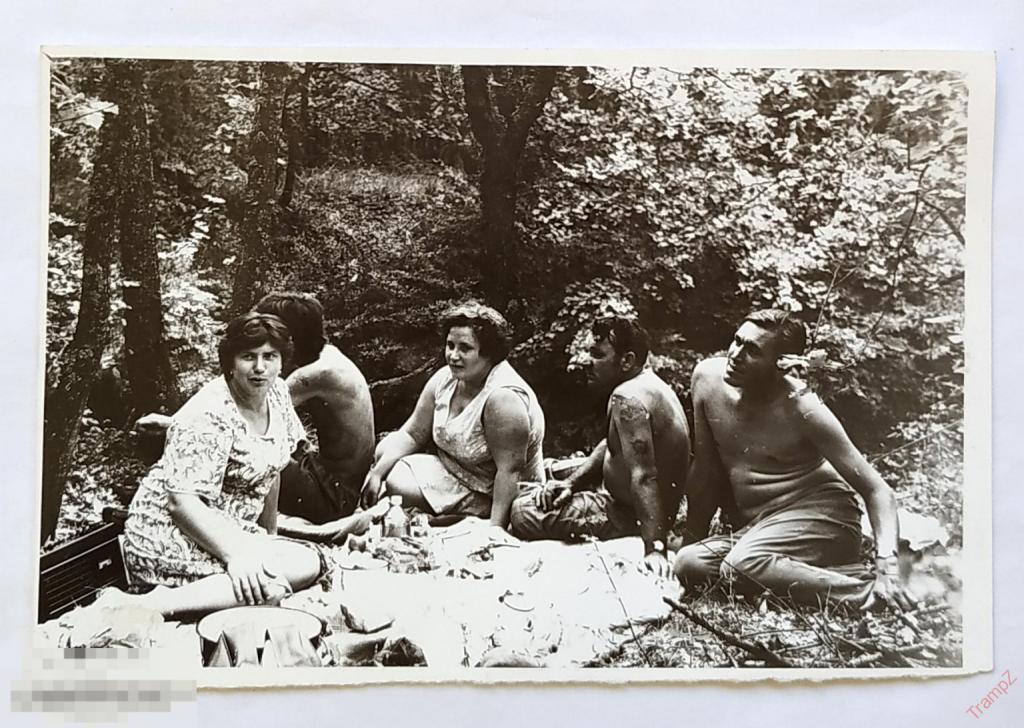 Фотография отдых на природе, пикник, женщины, мужчины, голый торс #154*