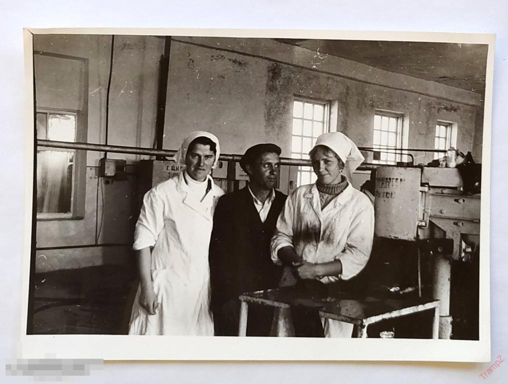 Фотография женщины в белых халатах, поварихи, консервный цех #154*