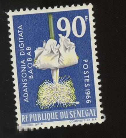 Сенегал. 1966. Баобаб. Флора. MNH.
