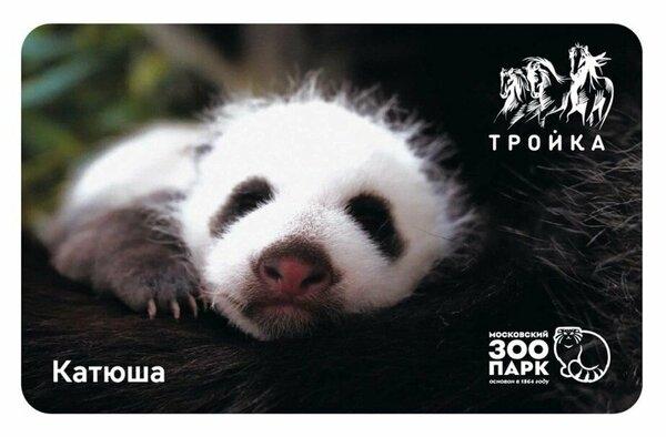 Транспортная карта Тройка коллекционная - Панда Катюша. Московский зоопарк