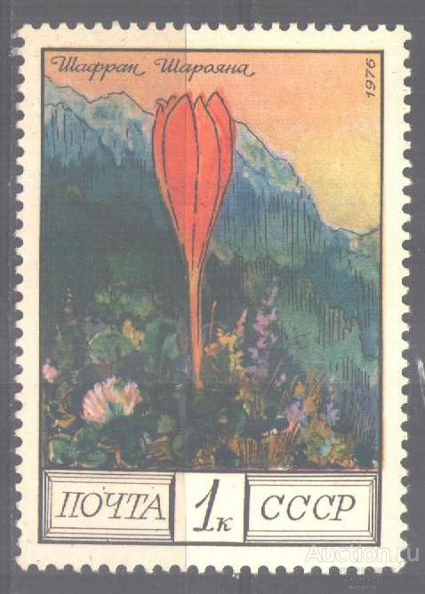 0413. СССР. 1976. Цветы гор Кавказа. Шафран. № 4649.**.
