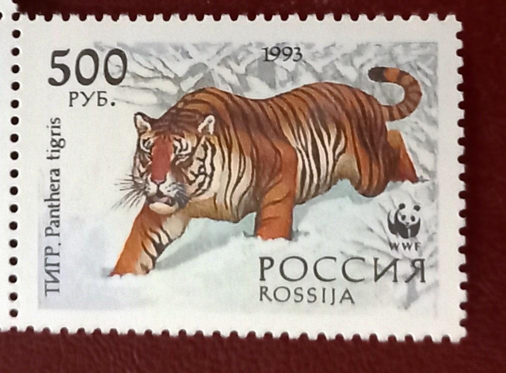 Россия 1993 год WWF Уссурийский тигр. Хищные кошки. Хищники. Фауна   MNH