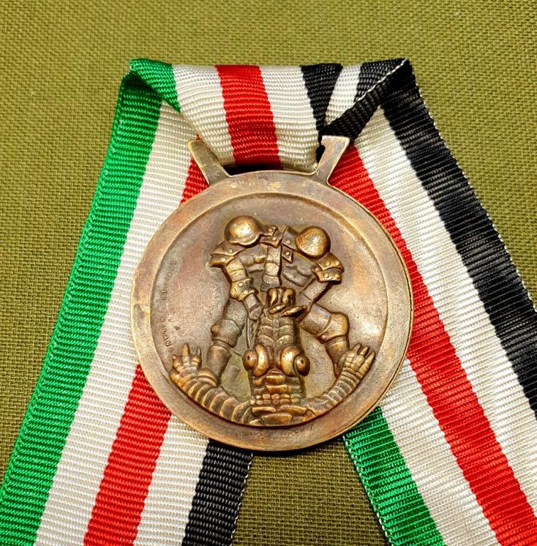 Медаль Италия за Итало-Германскую компанию в Африке. 3-й Рейх