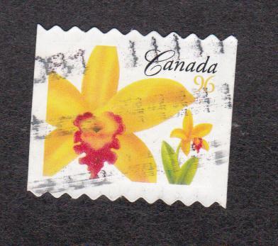 Канада Флора Цветы (5373)