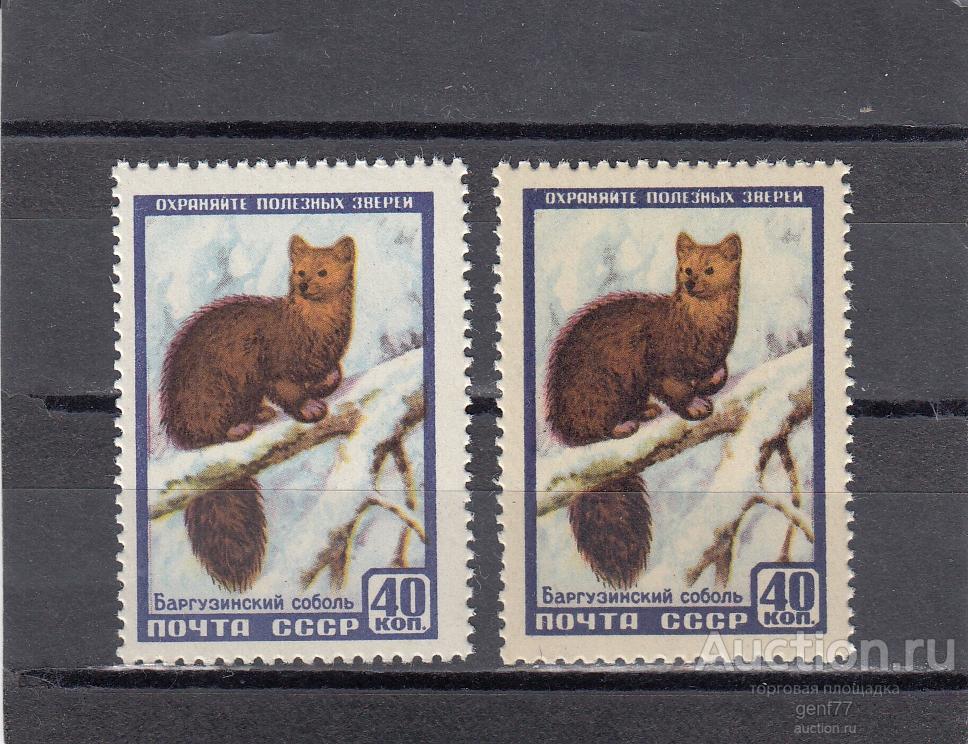 СССР 1957 Фауна Соболь Разновидность! Цвет!! Фон желто-серый Пара  Сост** MNH