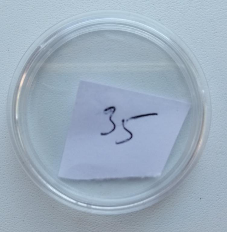 Капсула 35 мм для монеты Б/у