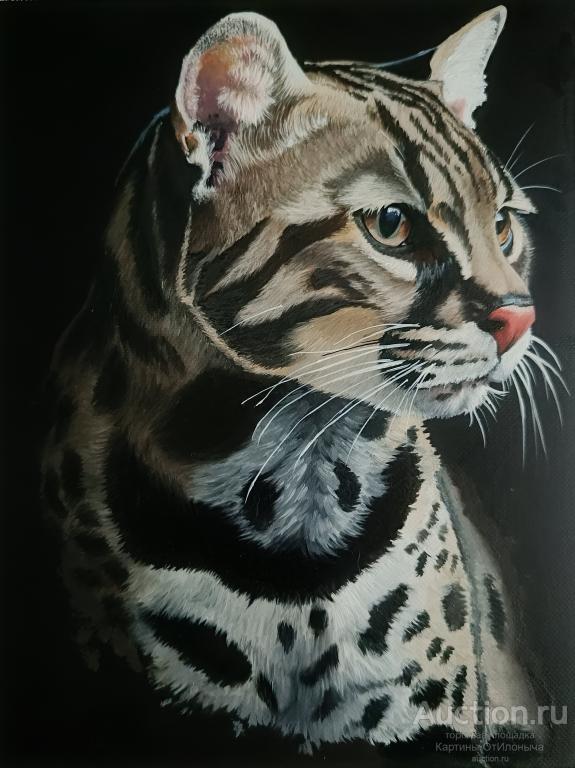 Картина масло оцелот картина кот картина животное