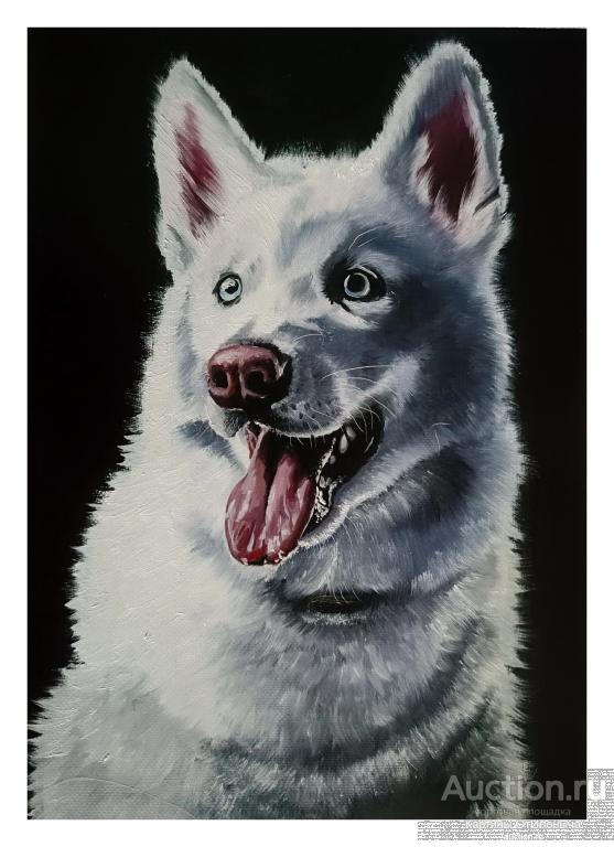 Картина маслом Белый Хаски картина собака