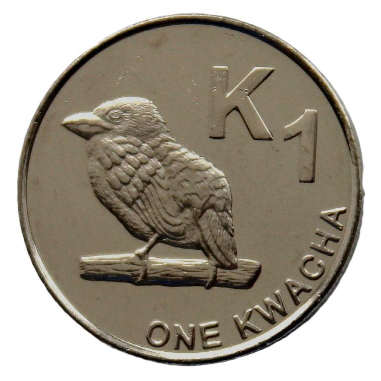 ЗАМБИЯ 1 квача 2012 UNC. Птица. Замбийский барбет