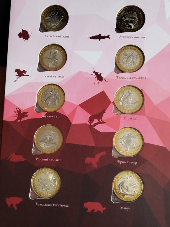 5 ЧЕРВОНЦЕВ КРАСНАЯ КНИГА 2016-2019 ГОДА.ММД.