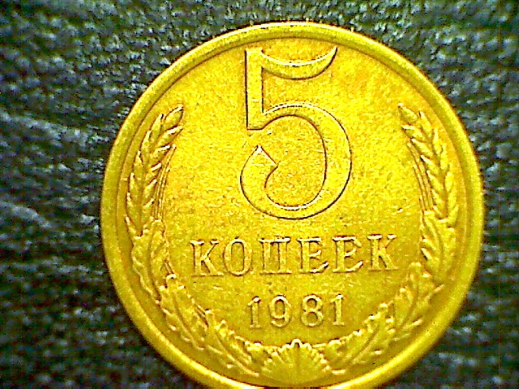 5 КОПЕЕК 1981 ГОД . ЦЕНА ЗА ВСЕ.