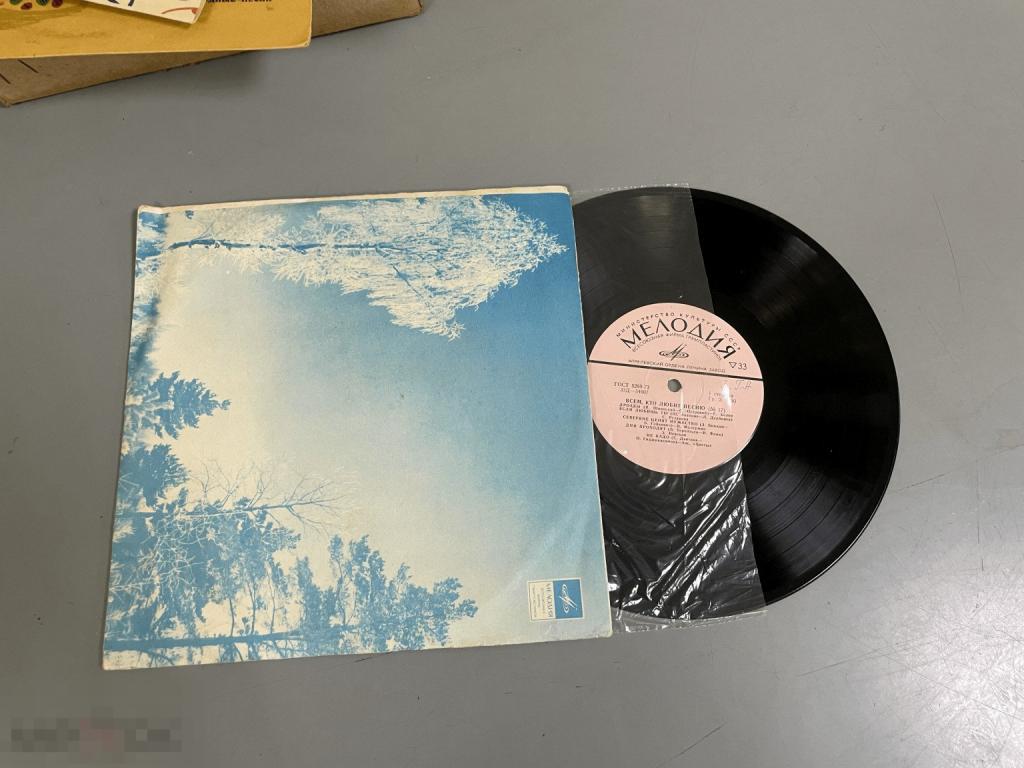 Пластинка патефонная 33 оборота грампластинка EX Всем кто любит песню №17