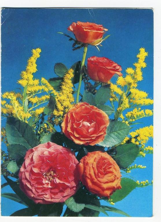 Букет - Дергилев И / 1991 год  (93-А)