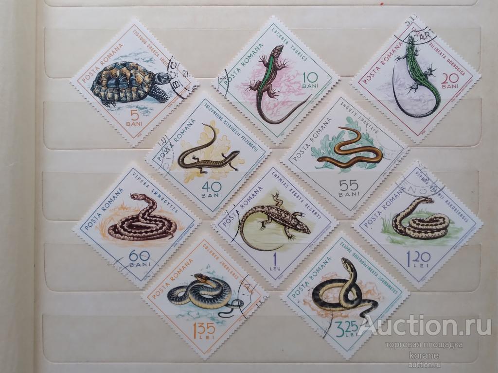 м    Румыния 1965 год  фауна  рептилии
