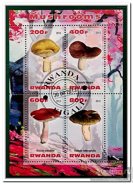Руанда 2013 год " Мухоморы "