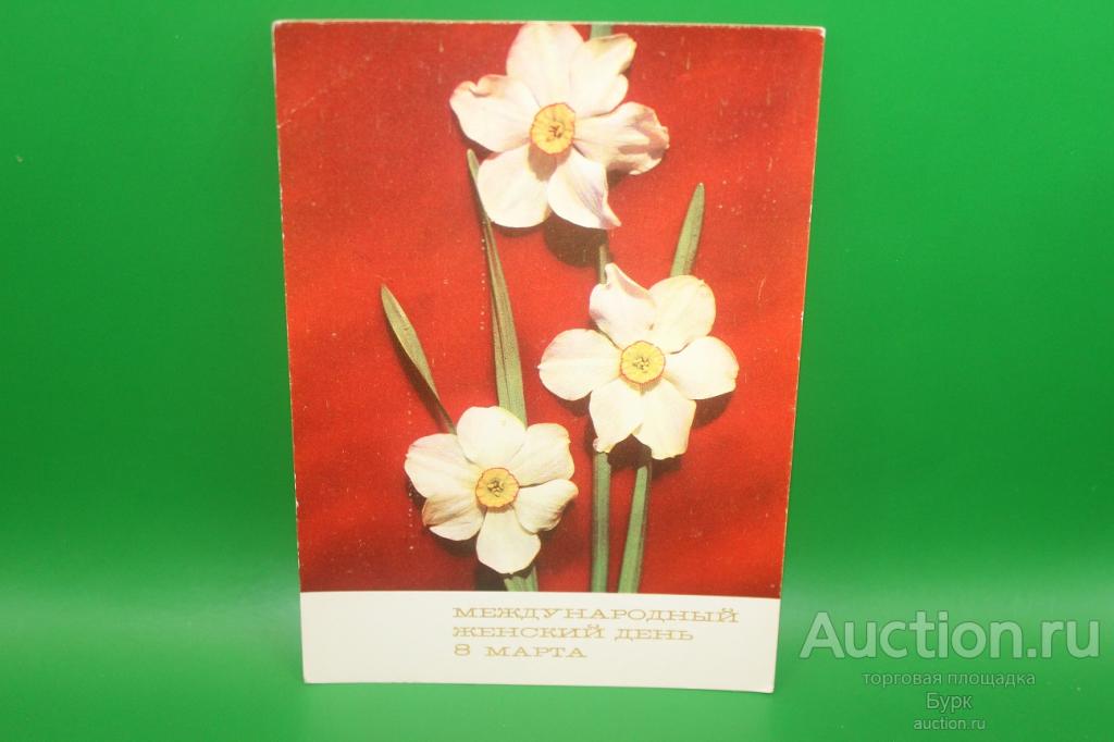открытка СССР Костенко 1971 г. Международный женский день 8 Марта цветы нарциссы чистая
