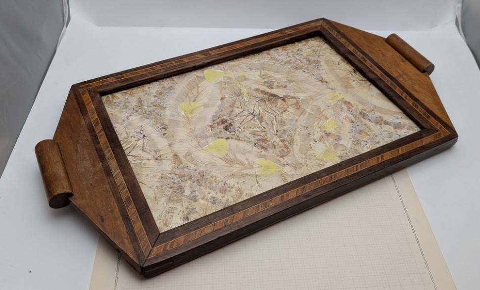 Старинный поднос декорированный крылышками бабочек (A853)