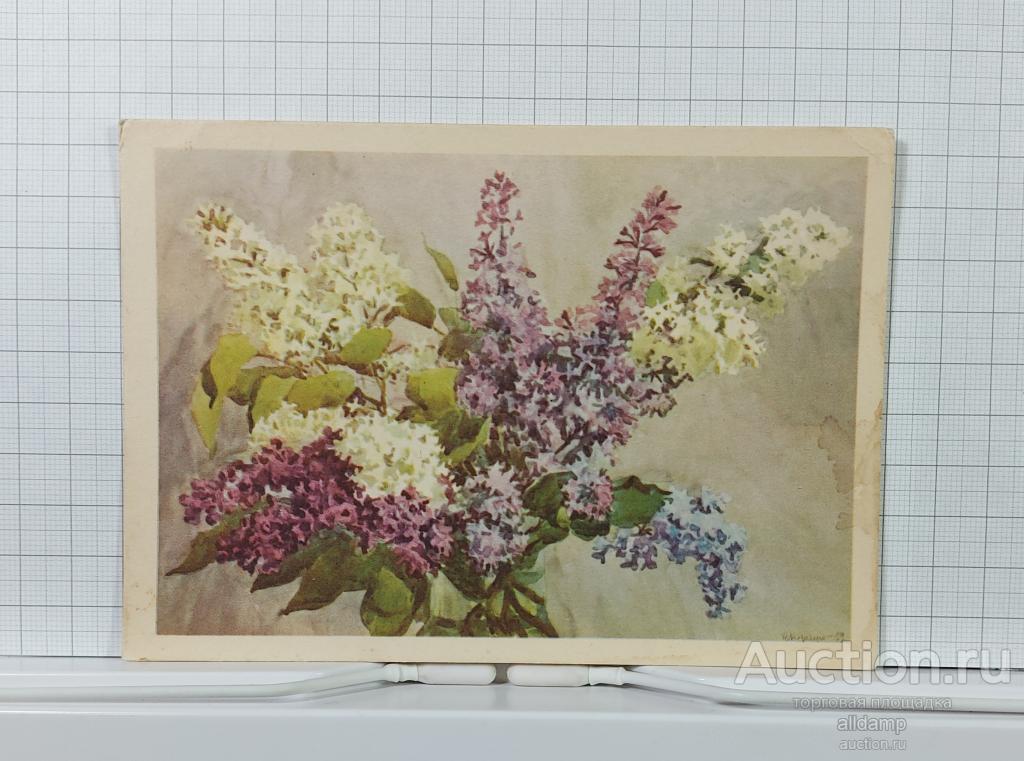 Открытка СССР Сирень 1960 Купецио подписана поздравительная винтажный цветочный рисунок букет