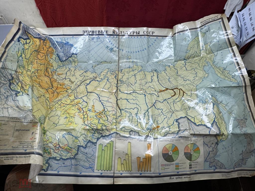 БОЛЬШАЯ КАРТА - ЗЕРНОВЫЕ КУЛЬТУРЫ СССР